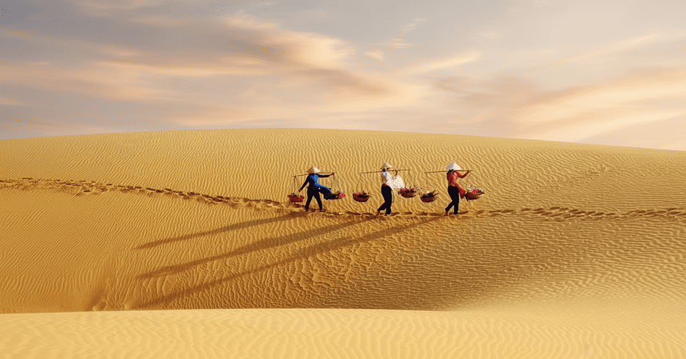 Visitors are fascinated by the untouched, winding Phuong Mai sand dunes